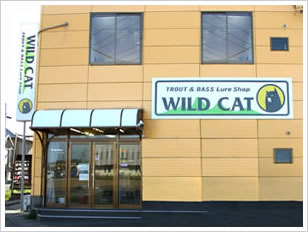 WILD CAT ワイルドキャット　店舗画像